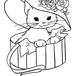 Excellent Cute Kitty Cat Coloring Pages Free Kids Page Printable Animals