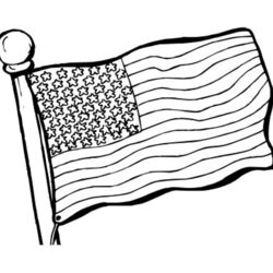 Superior American Flag Coloring Book