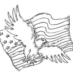 Champion American Flag Coloring Page For The Love Of Country Patriotic Eagle Symbols Flags Sheets Color In