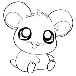 Fine Cute Animal Coloring Pages Printable Hamster