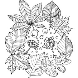 Superior Fall Autumn Leaf Arrangement Coloring Page Printable