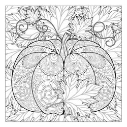 Superlative Best Coloring Pages Images On Adult Fall Autumn Pumpkin Adults Sheets Print Leaves Printable