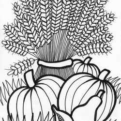 Supreme Autumn Adult Coloring Pages At Free Printable Fall Adults Thanksgiving Colouring Sheets Wheat Harvest
