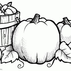 Worthy Free Fall Coloring Pages Printable Home