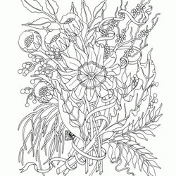 Matchless Get This Printable Autumn Coloring Pages For Adults Fit