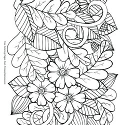 Admirable Autumn Adult Coloring Pages At Free Printable Fall Leaves Sheets Print Color Flower Acorns