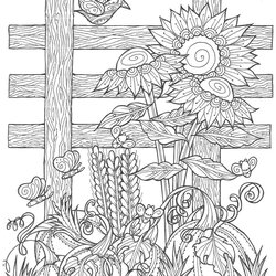 Preeminent Fall Coloring Book Pages Adult Sunflower Adults Pumpkin Patch Books Printable Natural Colouring