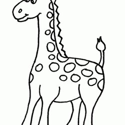 Sublime Get This Easy Blank Coloring Pages For Preschoolers Fit