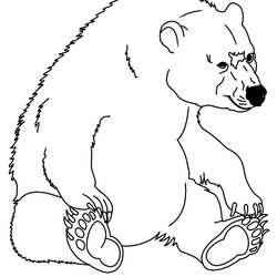 Peerless Bear Coloring Pages For Kids Bears To Print