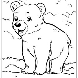 Champion Bear Coloring Pages Free Cub