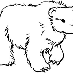 Legit Free Bear Coloring Pages Brown Bears Grizzly Animals Bobcat Colouring Grizzlies