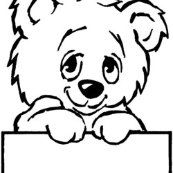 Admirable Free Bear Coloring Pages Teddy Drawing Outline Shy Cute Simple People Bears Drawings Animals