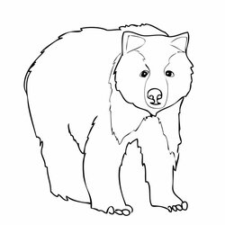 Spiffing Free Printable Bear Coloring Pages For Kids Brown Grizzly Color Print American Corduroy Animal