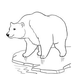 Super Free Printable Bear Coloring Pages For Kids Bears Sheets Color Polar Sheet