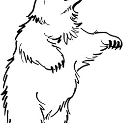 Sublime Free Bear Coloring Pages Bears Standing