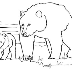 Cool Promenade Bears And Cubs Kids Coloring Pages Print Color Children Printable Animals For
