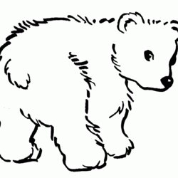 Superior Coloring Pages Of Bear To Print Home Color Bears Realistic Printable Drawing Little Line Teddy Three