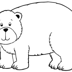 Eminent Bear Coloring Pages To Download And Print For Free Color Kids