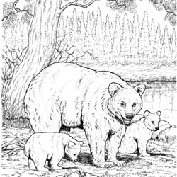 Matchless Free Bear Coloring Pages Animals Printable Cubs Bears Print Cub Ours Adult Baby