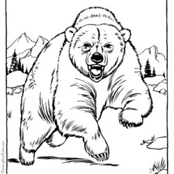 Bear Coloring Pages To Download And Print For Free