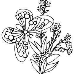 Capital Coloring Pages Of Flowers And Butterflies Educative Printable Butterfly Flower Sheets Beautiful Via