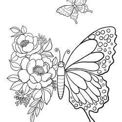 Magnificent Butterfly Printable Coloring Sheet Pages Kids
