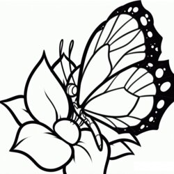 Splendid Free Printable Butterfly Coloring Pages For Kids Butterflies Flowers And