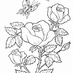 Worthy Butterfly And Flower Coloring Pages From Flowers Printable Adult Print Book
