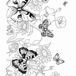 Coloring Pages Flowers And Butterflies Printable Com Butterfly Insect Print Insects