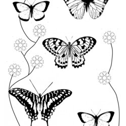 Preeminent Butterfly Coloring Pages Colouring Butterflies