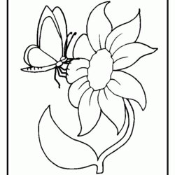 Fine Free Coloring Pages Flowers And Butterflies Home Colouring Dementia Butterfly Preschoolers