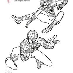 Matchless Free Printable Colouring Pages And Activity Sheets In The Spider Coloring Man Kids Color Book