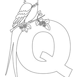Admirable Free Printable Alphabet Coloring Pages For Kids Best Letter Animal Queen Letters Quail Color Book