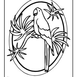 Exceptional Coloring Pages About Hawaii Home Luau Hawaiian Printable Parrot Themed Kids Jr Fantasy Popular