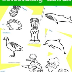 High Quality Hawaiian Coloring Pages For Kids Red Ted Art Crafts Hawaii Color Colouring Activities These Luau