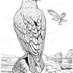 Terrific Realistic Animal Coloring Pages At Free Printable