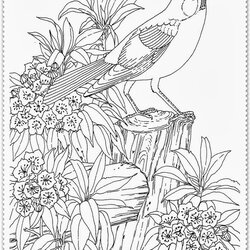 Marvelous Download Realistic Coloring For Free Pages Bird Garden Adult Printable Color Adults Animal Print