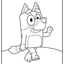 Splendid Coloring Pages Free