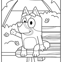 Coloring Pages Updated Bingo