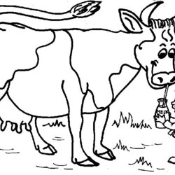 Splendid Free Printable Cow Coloring Pages For Kids Of