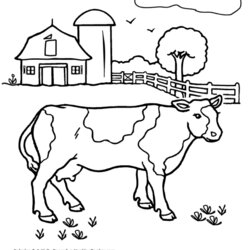 Fine Cow Coloring Pages Printable Farm Page Colouring Cattle Cows Animals Kids Barn Animal Simple Children