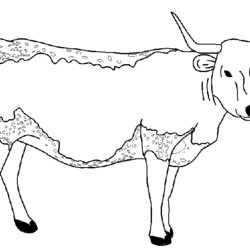 Swell Free Printable Cow Coloring Pages For Kids Longhorn Long Color Template Colouring Print Animals Clip