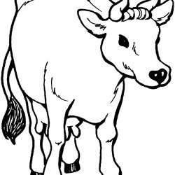 Free Printable Cow Coloring Pages For Kids Animal Place Colouring Cows Cattle Clip Paper Drawing Sheets