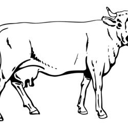 Exceptional Free Printable Cow Coloring Pages For Kids Pictures