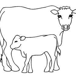 Outstanding Free Printable Cow Coloring Pages For Kids