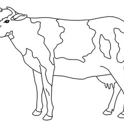 Admirable Free Cow Coloring Pages Printable Kids Dairy Print Adults Drawing Color Cows Simple Milk Templates