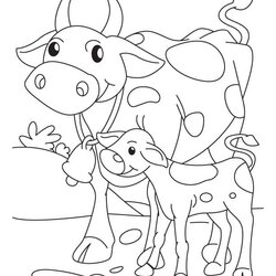 Super Holstein Cow Coloring Page Free Printable Pages For Kids Calf Roping Sketch And