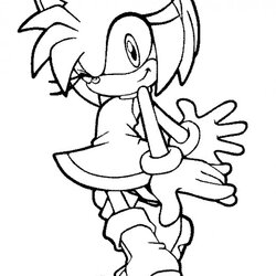 Champion Fun Coloring Pages Sonic The Hedgehog Silver Amy Printable Print Knuckles Tails Rose Sheets Para