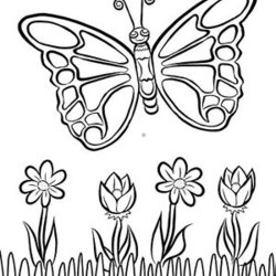 Smashing Black And White Coloring Pages For Kids At Free Printable Color Print