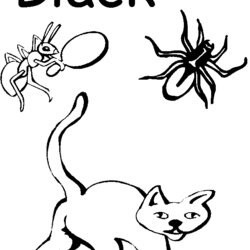 Spiffing Black Coloring Download For Free